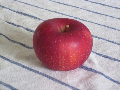Apple - Platonic Ideal Apple - Platonic Ideal