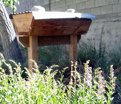 Topbar Beehive with blooming Penstemon Topbar Beehive with blooming Penstemon