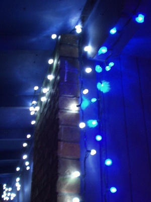 Blue and White LED Christmas Lights Blue and White LED Christmas Lights