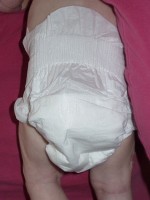 Diapered Baby Bottom