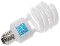 Energy Star Compact Fluorescent Light Bulb