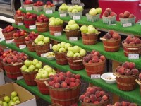 Farmers Market Apples and Peaches
