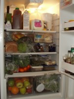 Full Fridge