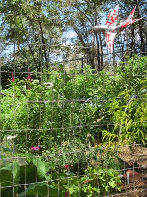 Garden & Coop Tour 2012 - Bird Sculpture Garden & Coop Tour 2012 - Bird Sculpture