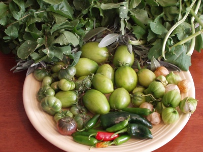 Green Tomatoes, Chiles, Tomatillos, Sage & Arugula Green Tomatoes, Chiles, Tomatillos, Sage & Arugula