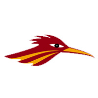 NM Rail Runner logo