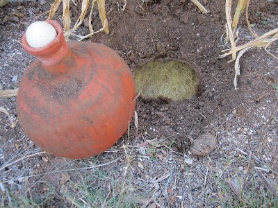 Olla and encircling root bowl