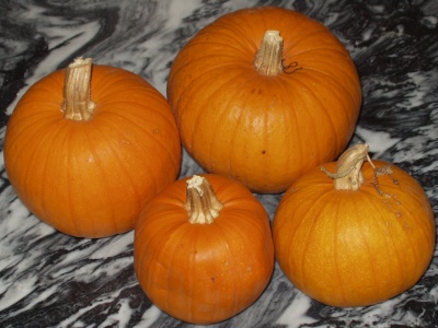 Pie Pumpkins Pie Pumpkins