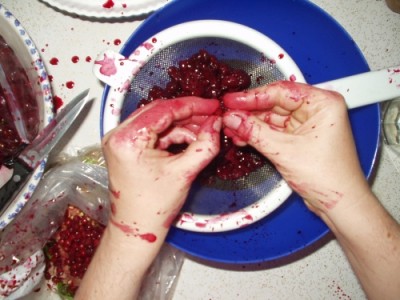 Pitting Cherries Pitting Cherries
