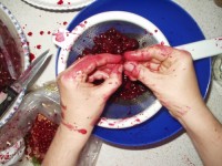 Pitting Cherries