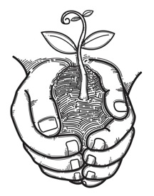 Plant in Hands sketch Plant in Hands sketch