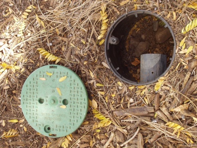 Mulched Basin for Rain and Grey Water Drain Mulched Basin for Rain and Grey Water Drain