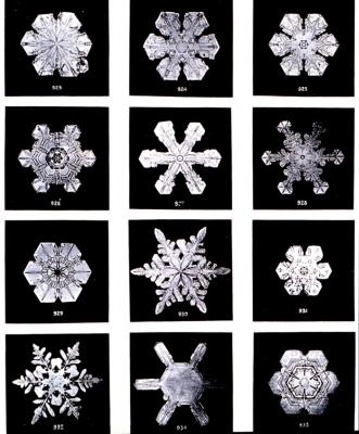 Snow Flakes Snow Flakes