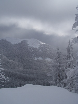 Snowy Day in the Sangre de Cristo Mountains