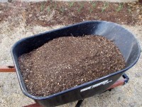 Spring Garlic and new Compost