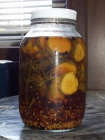 Tarragon Cucumber Pickles