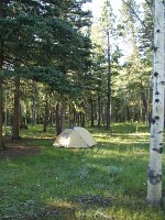 Tent Camping in the Aspen Conifer Forest of Northern New Mexico
