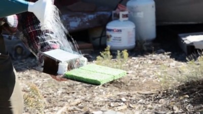 Watershed Restoration Model