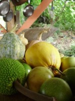WWOOF Hawaii - Tropical Fruit