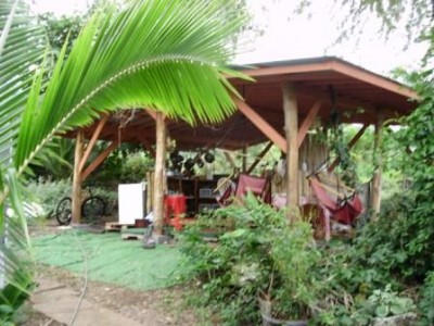 WWOOF Hawaii - Kitchen WWOOF Hawaii - Kitchen